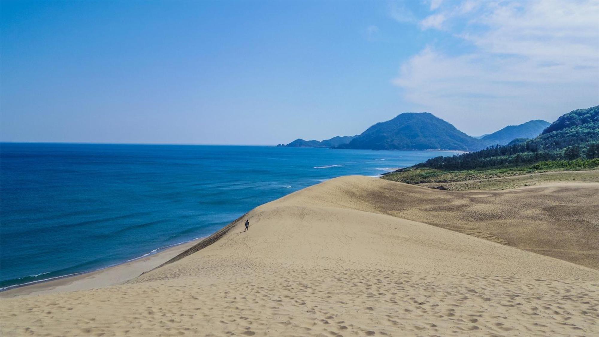 Toyoko Inn Tottori Eki Minami Guchi Exteriör bild